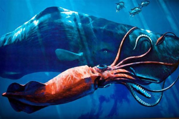 Kraken darknet зеркала