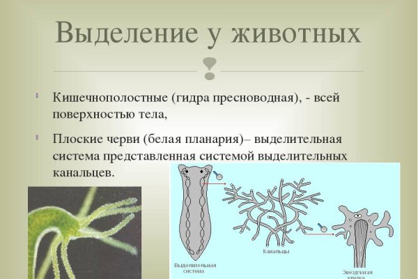Кракен макет плейс