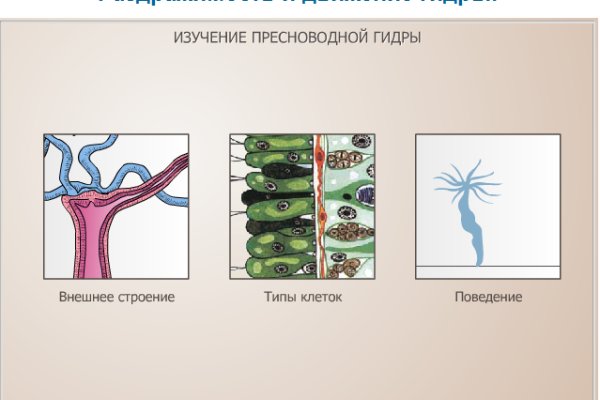 Кракен ссылка тор kr2web in