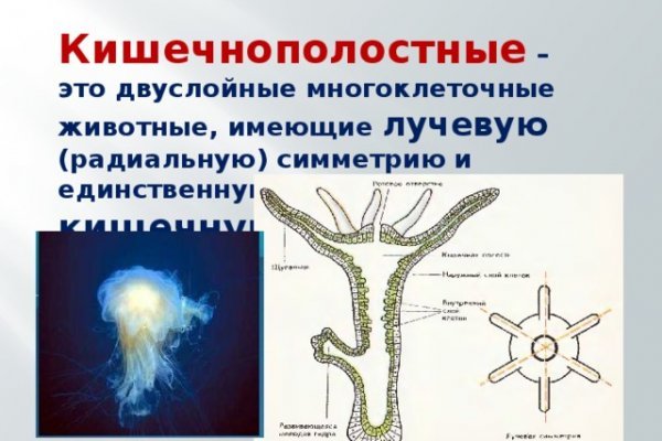 Кракен сайт 18